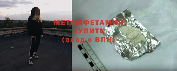 прущие грибы Тихвин