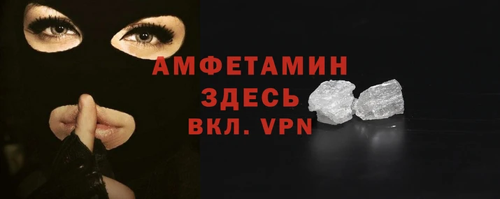 прущие грибы Тихвин
