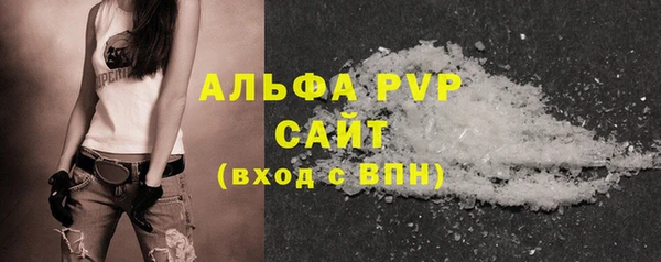 прущие грибы Тихвин