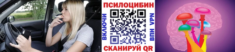Псилоцибиновые грибы Cubensis  Орск 
